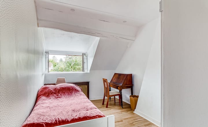 غرفة فضية، سرير واحد.