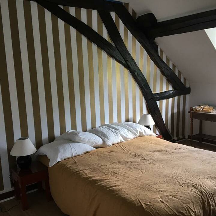 غرفة ذهبية. 2 مفرد أو 1 مزدوج للاختيار من بينها.