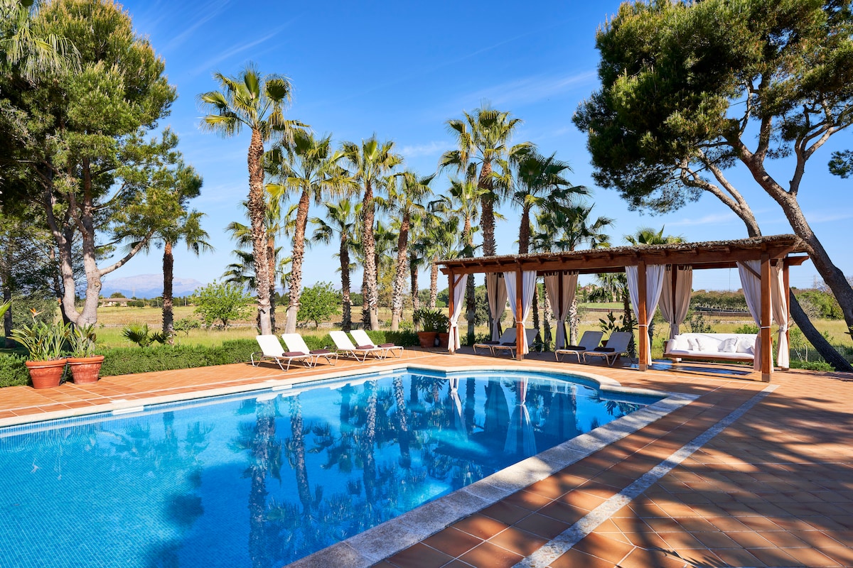 A serene outdoor area features a crystal-clear swimming pool surrounded by lush palm trees. A shaded pergola with white drapes provides seating space and adds to the tranquil ambiance. Sun loungers are positioned beside the pool, inviting relaxation in the sunny setting.