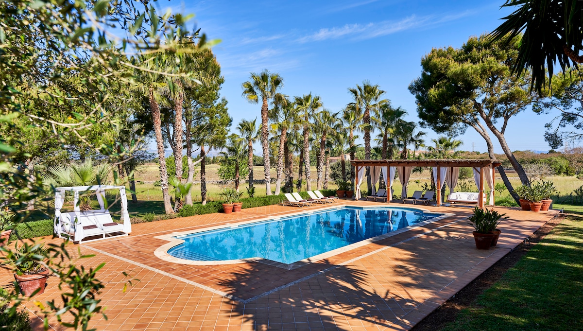 A serene outdoor area features a rectangular swimming pool surrounded by palm trees and lush greenery. Comfortable sun loungers are positioned around the pool, while a shaded seating area under a pergola offers a tranquil space for relaxation.