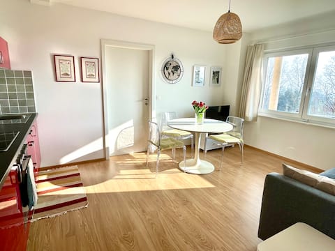 Beautiful modern 2 room apartment with terrace