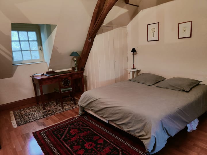 Habitación 1