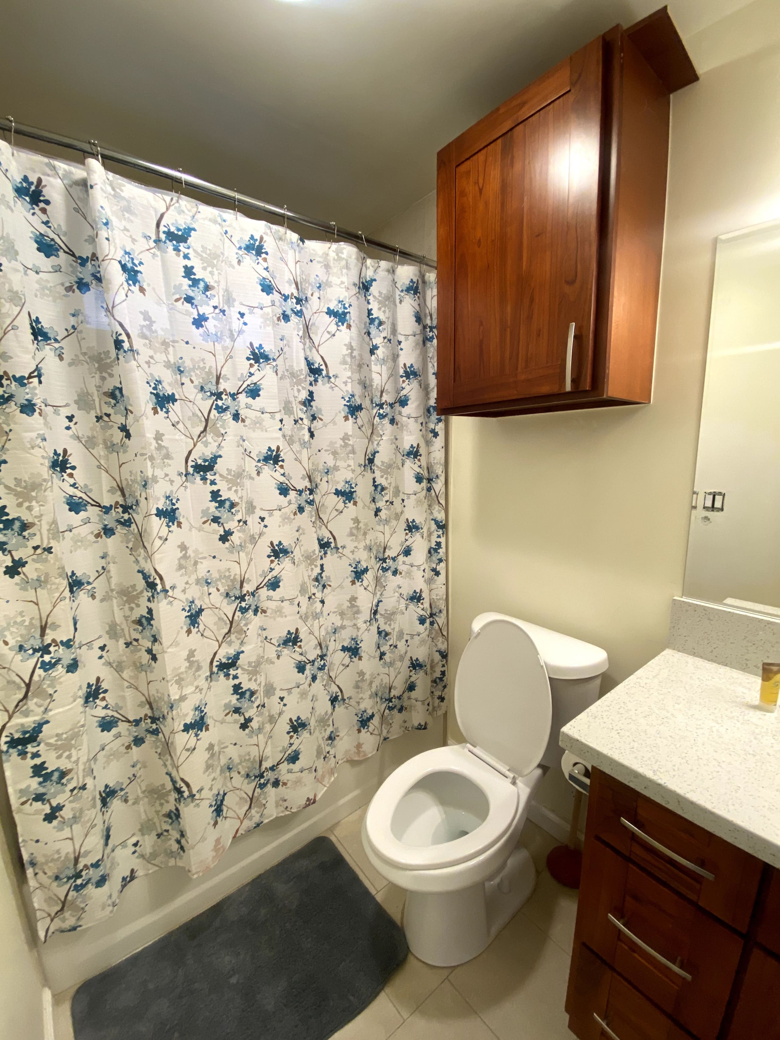 Beautiful 1BR w/full size kitchen and free parking - Image 5