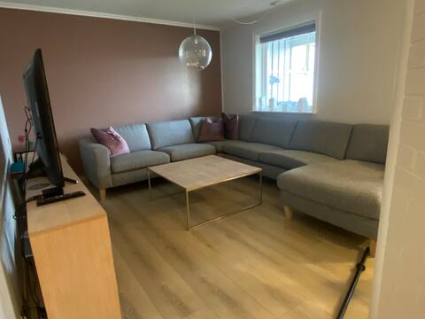 Top performing Airbnb: Bright and newly renovated apartment in Tasta