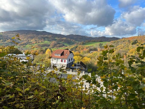 Romantic apartment Fantastic views, Odenwald