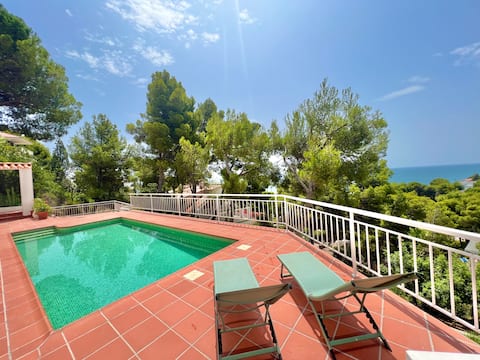 Great villa with pine trees and sea view-ServHouse