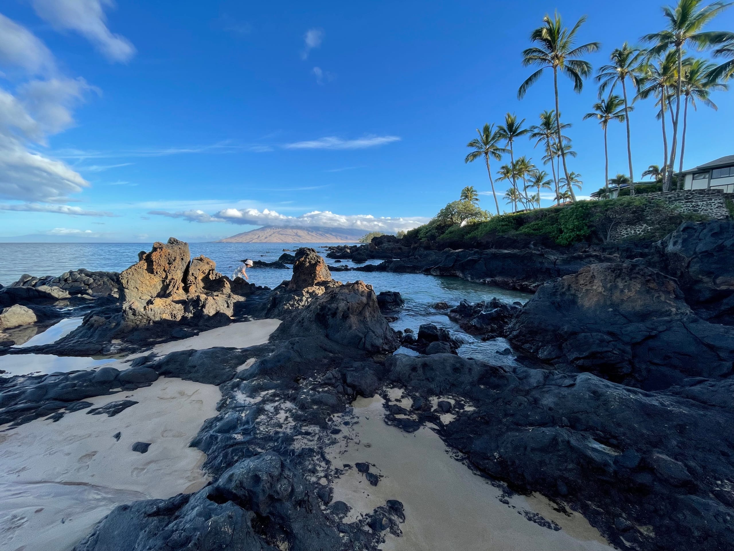 Condo in Kihei · ★5.0 · 1 bedroom · 2 beds · 1 private bath - Image 49