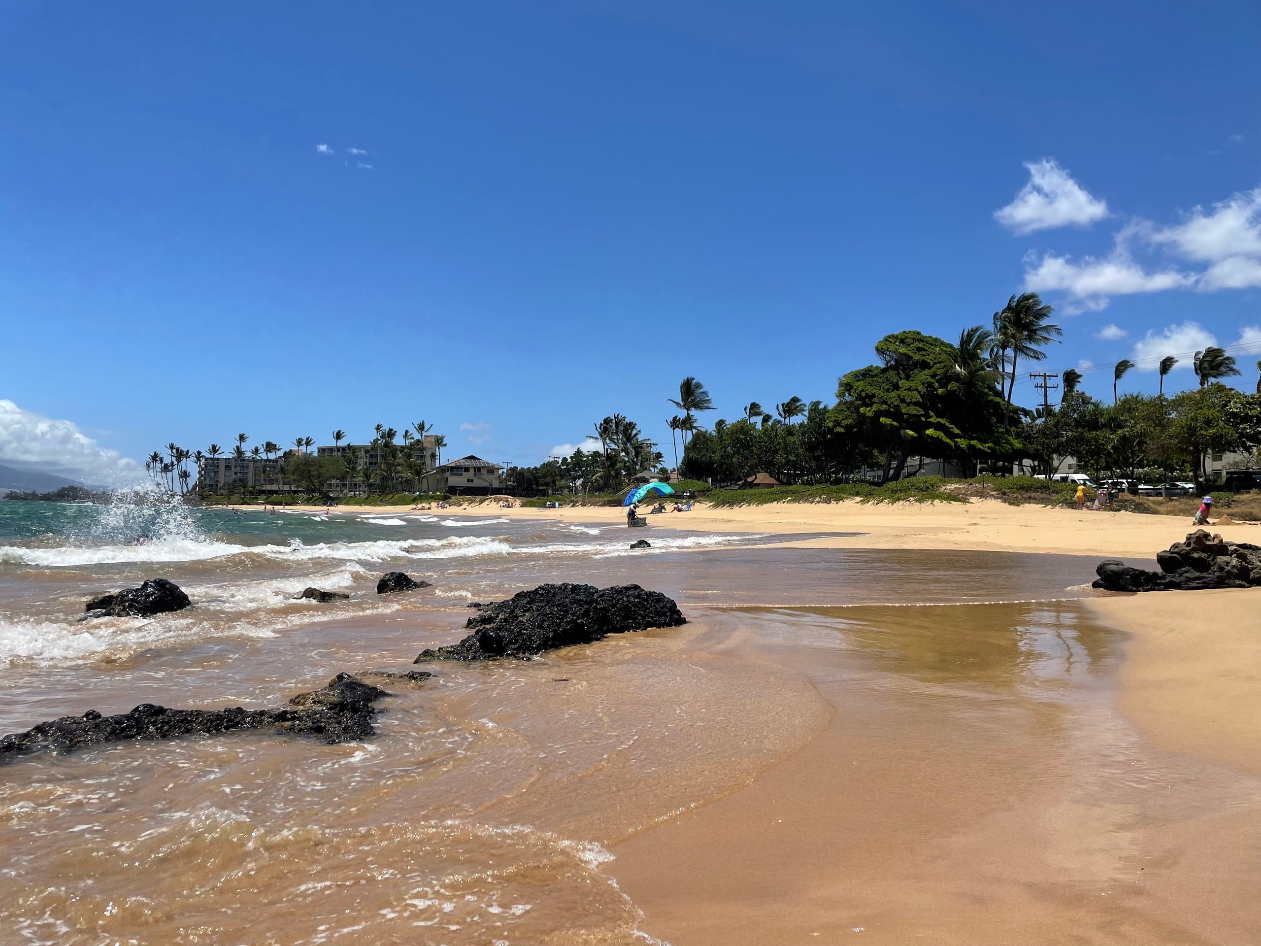 Condo in Kihei · ★5.0 · 1 bedroom · 2 beds · 1 private bath - Image 42