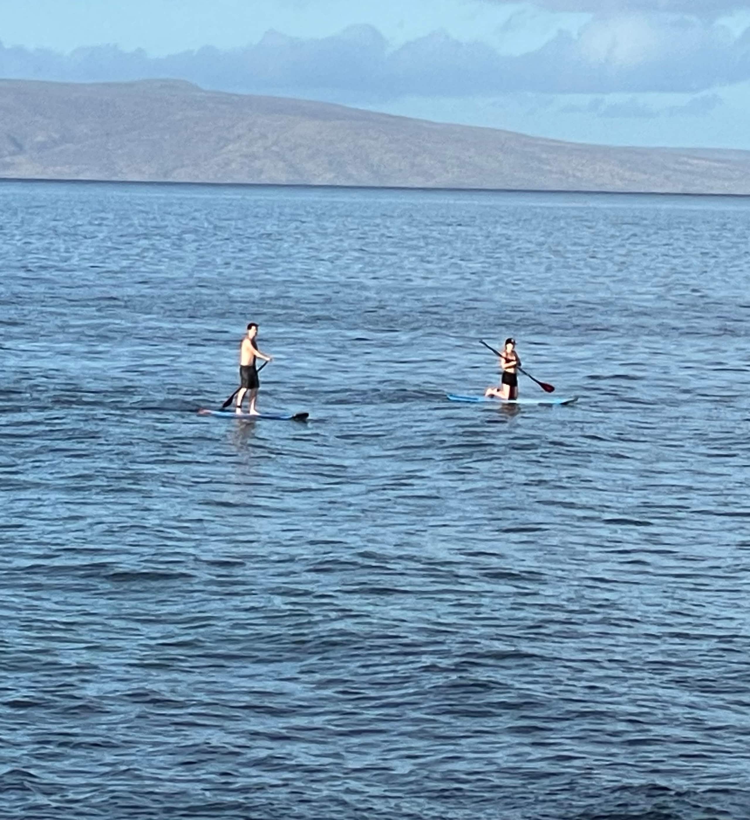 Condo in Kihei · ★5.0 · 1 bedroom · 2 beds · 1 private bath - Image 45