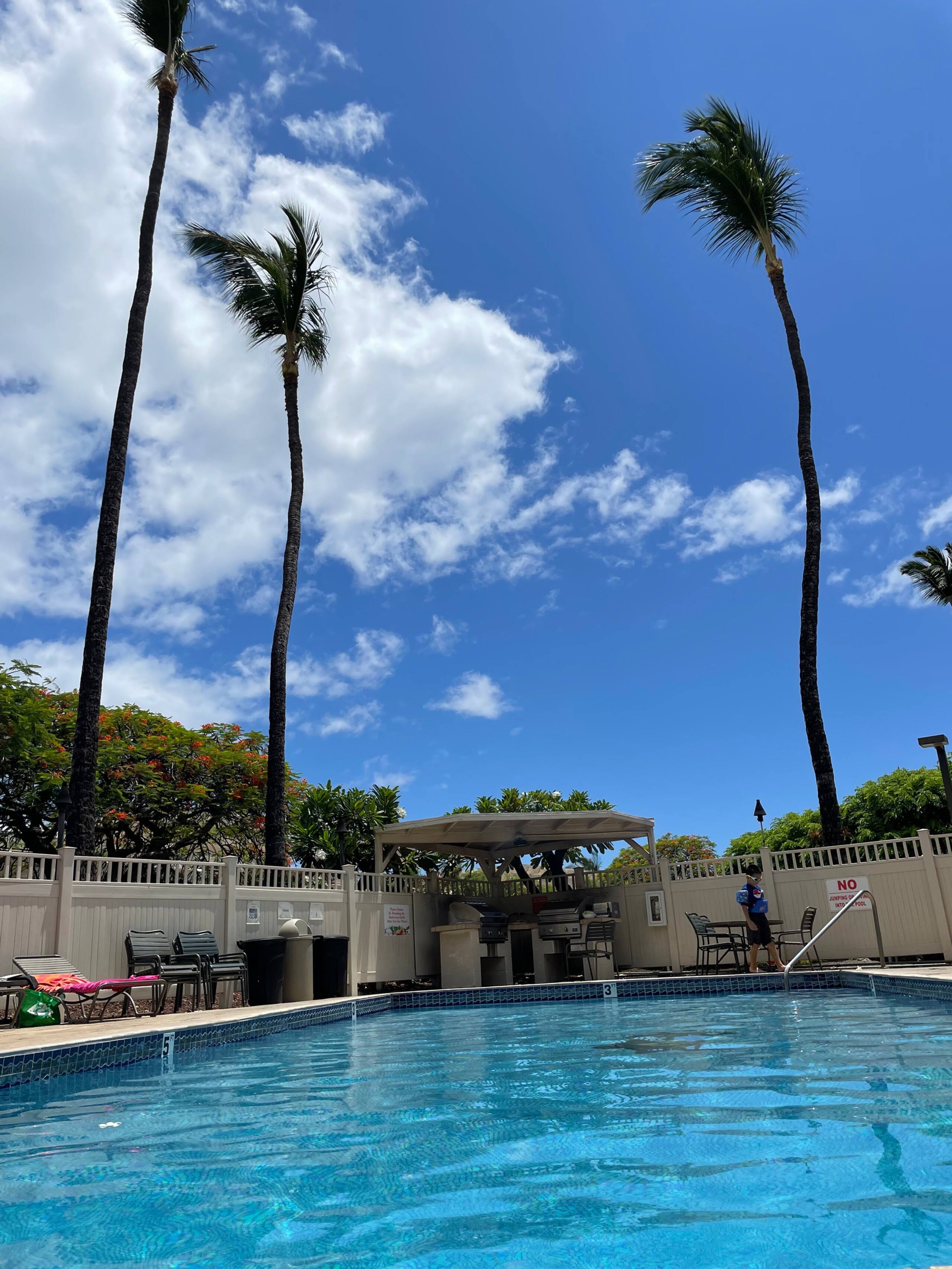 Condo in Kihei · ★5.0 · 1 bedroom · 2 beds · 1 private bath - Image 39