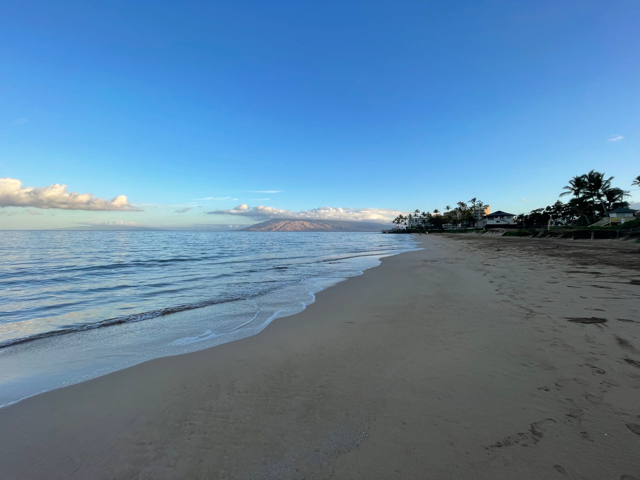Condo in Kihei · ★5.0 · 1 bedroom · 2 beds · 1 private bath - Image 54