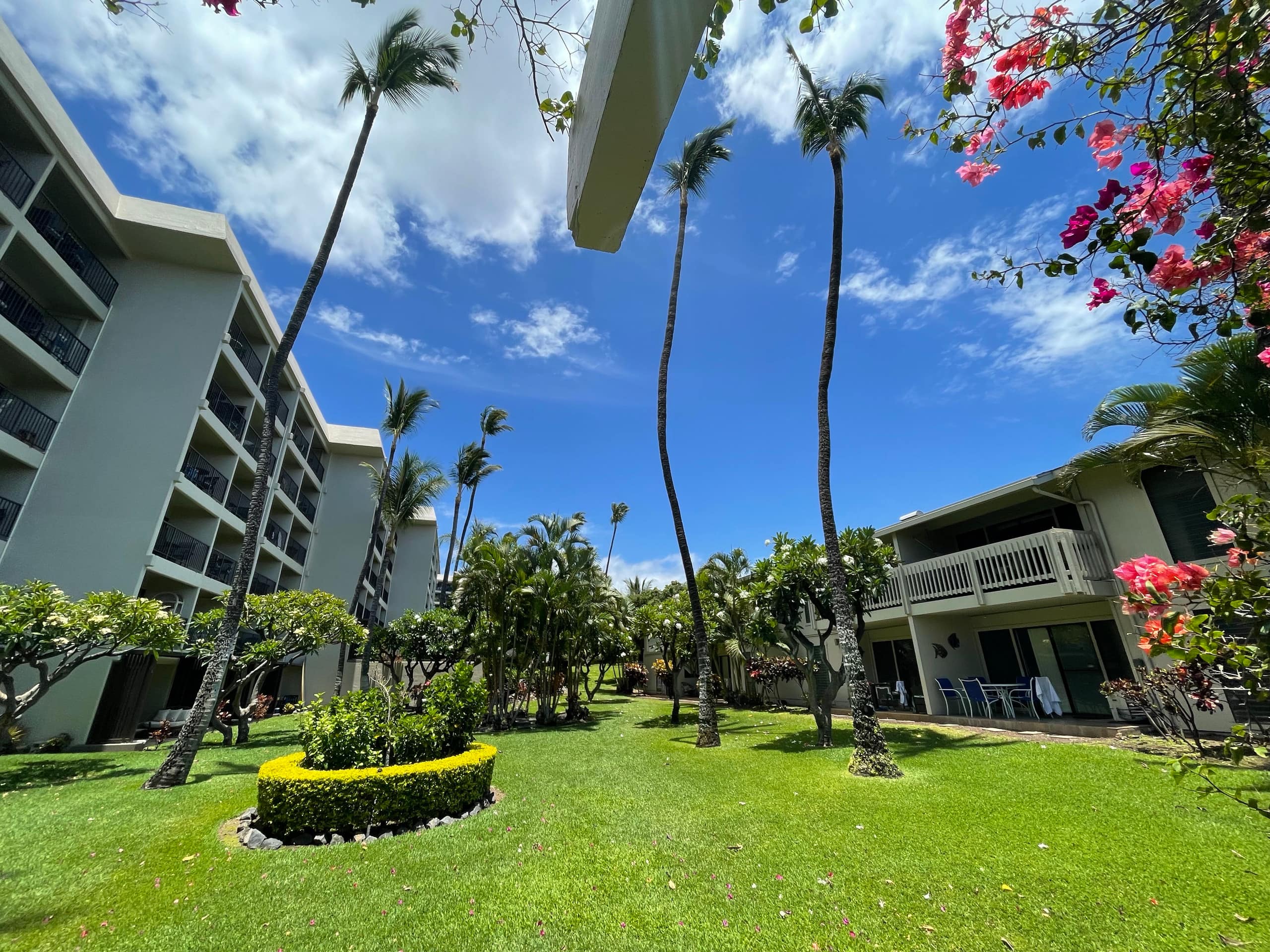 Condo in Kihei · ★5.0 · 1 bedroom · 2 beds · 1 private bath - Image 58