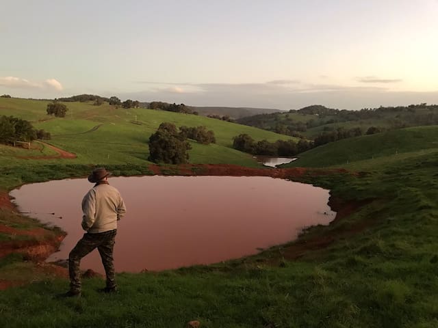 Avon Valley Homestead-Farm Stay gallery image 4