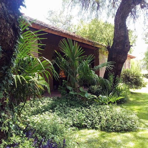 Habitación Matrimonial