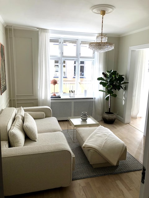 Successful Airbnb property: Spacious Copenhagen apartment in København