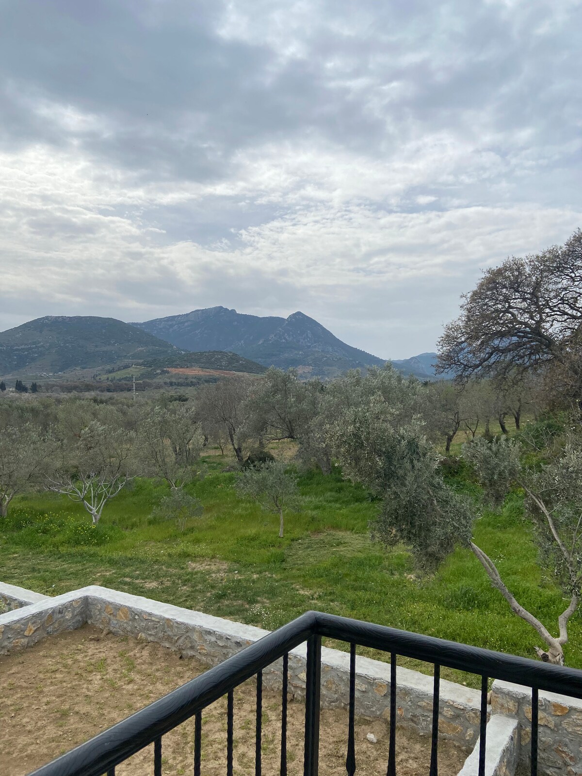 A scenic view showcases expansive olive trees and lush greenery, set against a backdrop of rolling mountains under a partly cloudy sky. The landscape reflects a peaceful natural environment, enhancing the overall tranquility of the location.