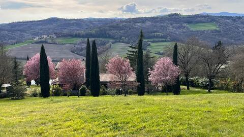 Magical Umbrian Villa with pool!