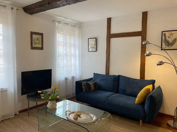 Appartement Du Pont Vieux - Albi