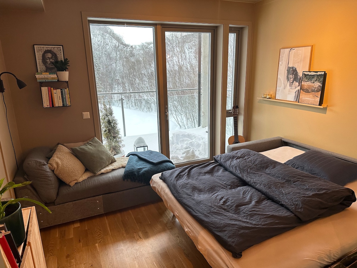 The room features a comfortable sofa that easily converts into a bed, dressed with a dark comforter. A small shelf displays framed artwork, and natural light enters through large glass doors. Snow-covered scenery is visible outside, enhancing the cozy atmosphere.