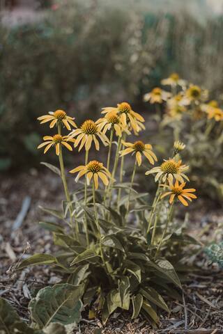 Casa Lurgorri gallery image 5