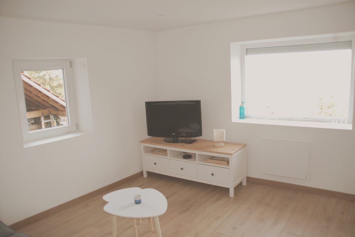 A bright living area is showcased with two windows allowing natural light to illuminate the space. A flat-screen television sits atop a white wooden media console, which features storage drawers. A small, heart-shaped coffee table complements the light hardwood flooring.