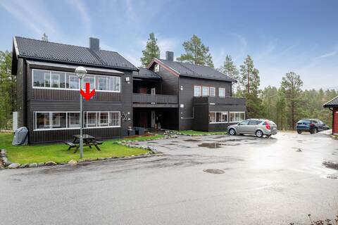 Holiday apartment on Savalen