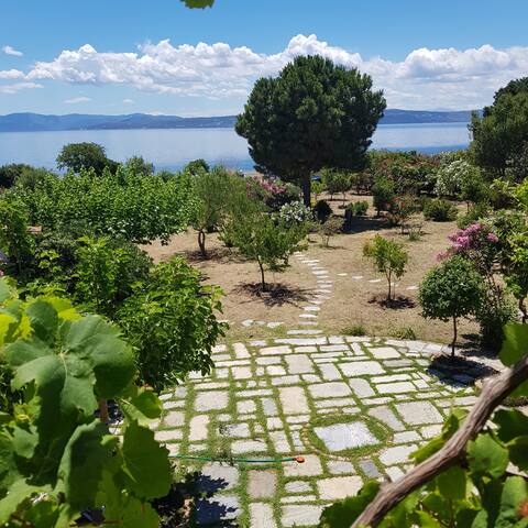Paradise villages of our family