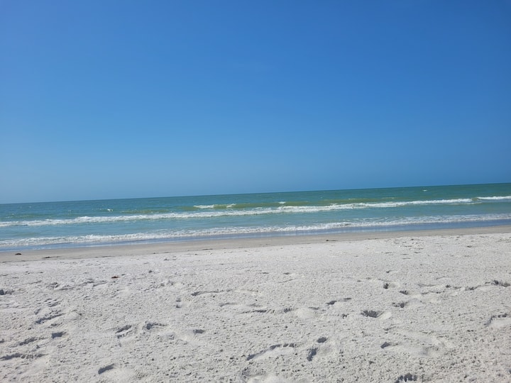 Gulf Side Oasis - Indian Rocks Beach, FL