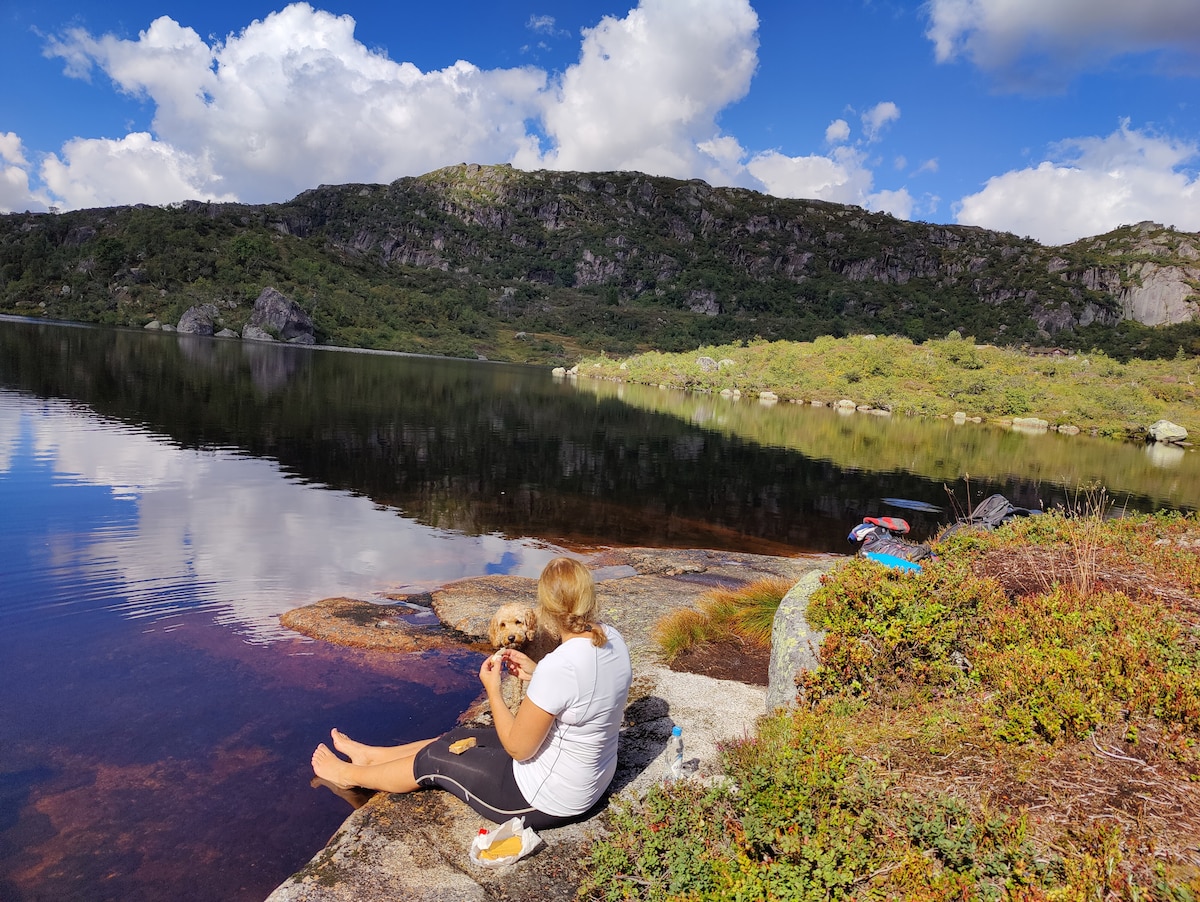 A person is seated on a rocky ledge by a calm lake, surrounded by green hills and a clear blue sky dotted with clouds. The serene waters reflect the landscape, creating a peaceful atmosphere.