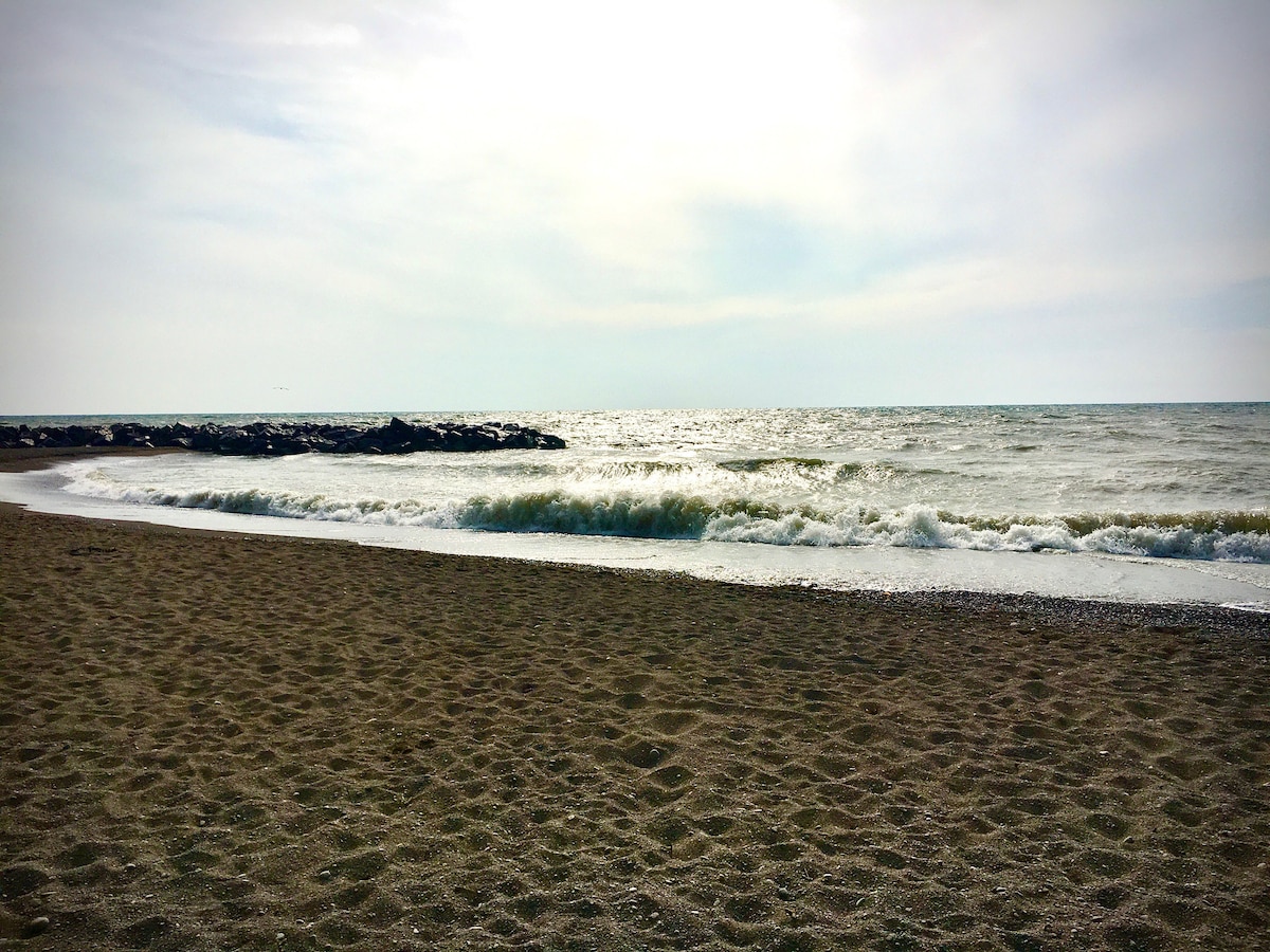 A serene beach scene captures gentle waves lapping at the shore. The sandy beach stretches into the distance, meeting a calm lake under a soft, overcast sky. The horizon is marked by a line of distant rocks, with hints of water reflecting the light.