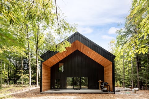 Modern woodsy retreat— close to downtown Northport