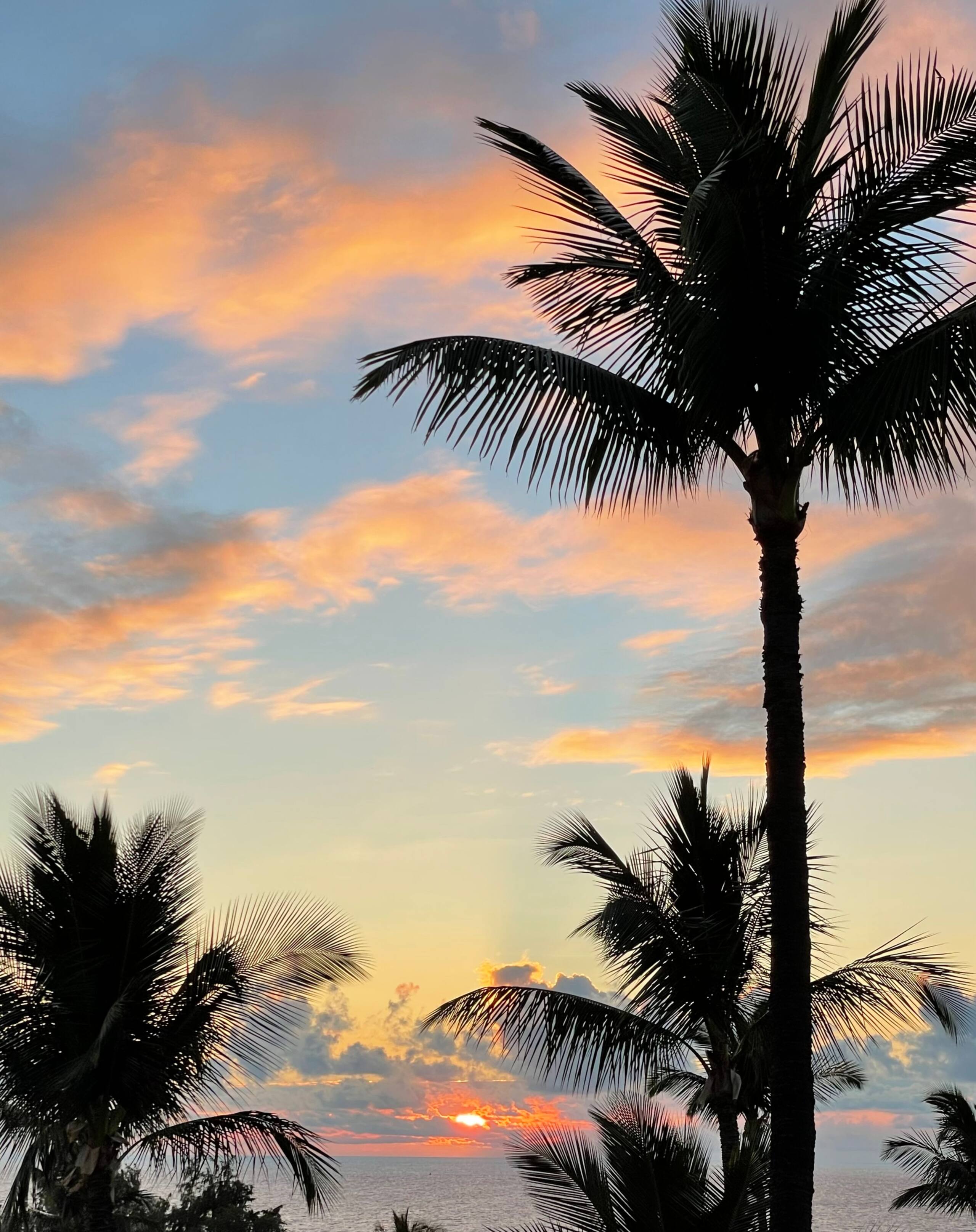 Condo in Kihei · ★4.99 · 1 bedroom · 2 beds · 1 bath - Image 28