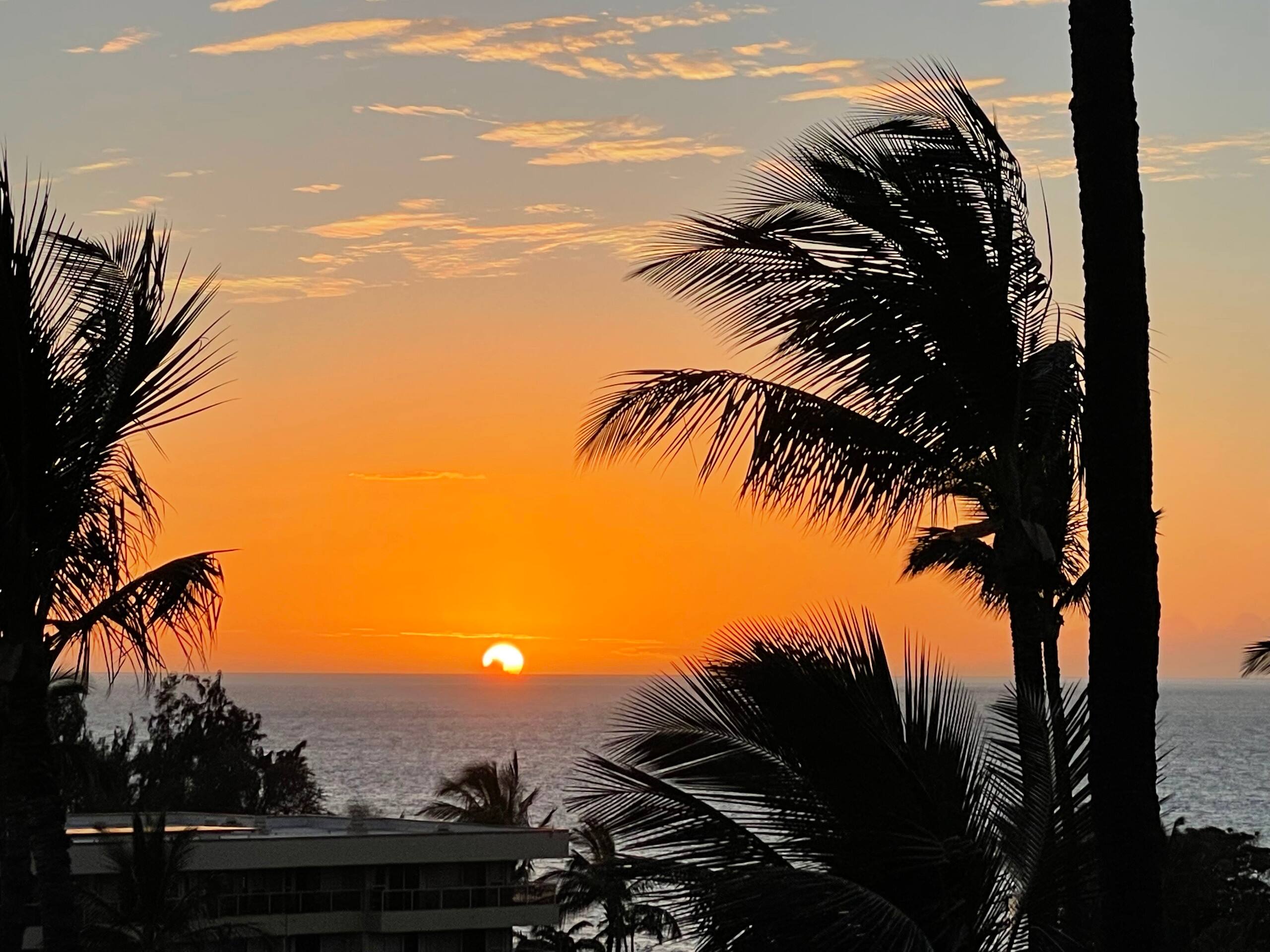 Condo in Kihei · ★4.99 · 1 bedroom · 2 beds · 1 bath - Image 26