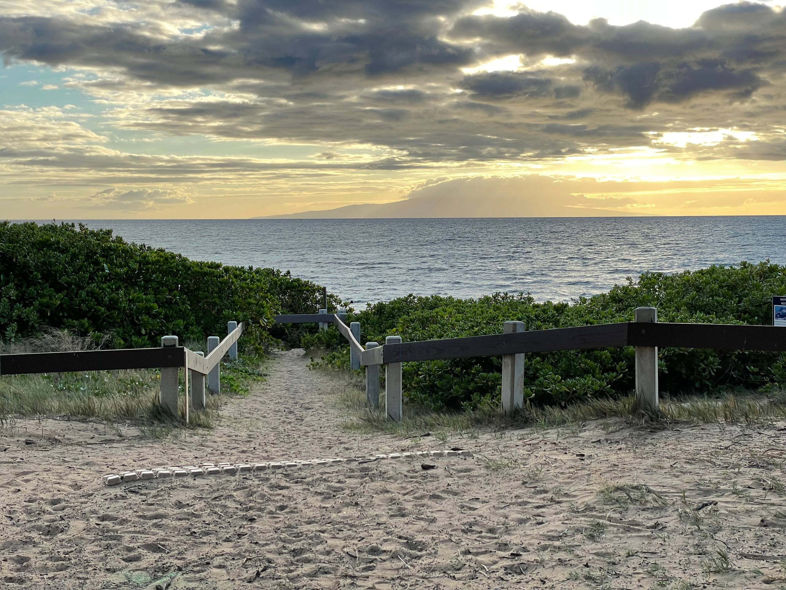 Condo in Kihei · ★4.99 · 1 bedroom · 2 beds · 1 bath - Image 19