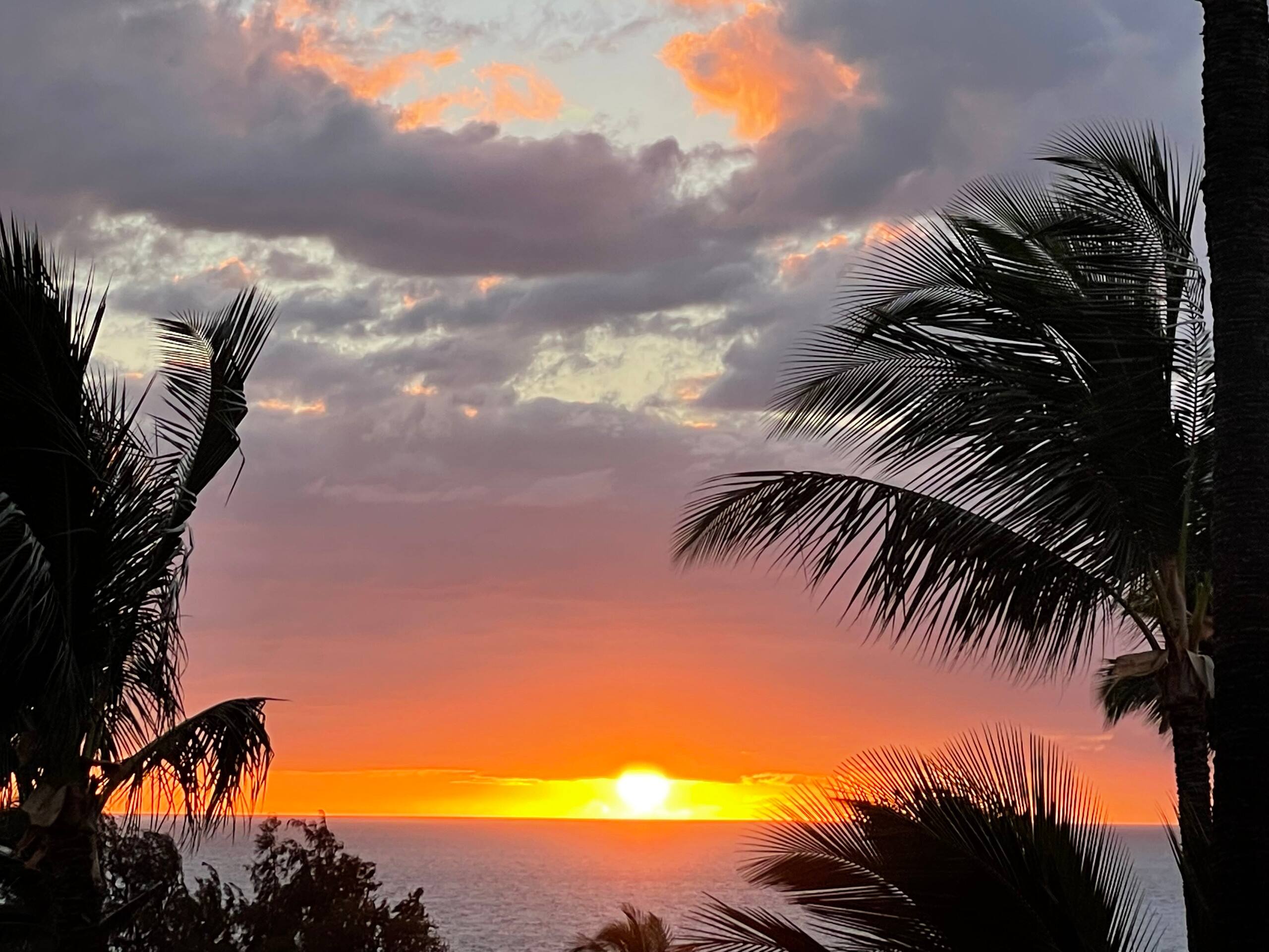 Condo in Kihei · ★4.99 · 1 bedroom · 2 beds · 1 bath - Image 27
