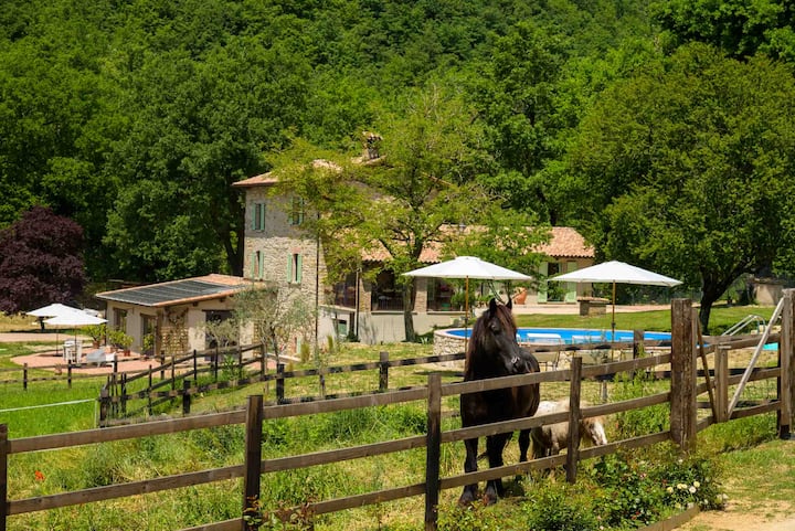 Salvia agriturism room
