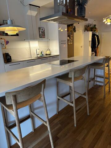 5 værelses new yorker lejlighed gallery image 2