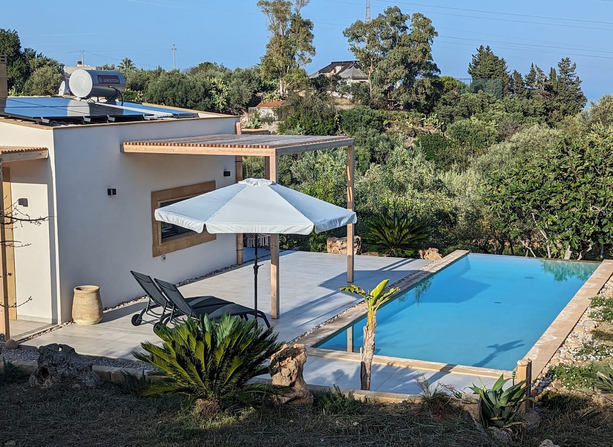 A private infinity pool is set against a backdrop of greenery, with a shaded area providing relaxation. Sun loungers are positioned nearby, along with a large umbrella. The modern house features large windows, and solar panels are visible on the roof.