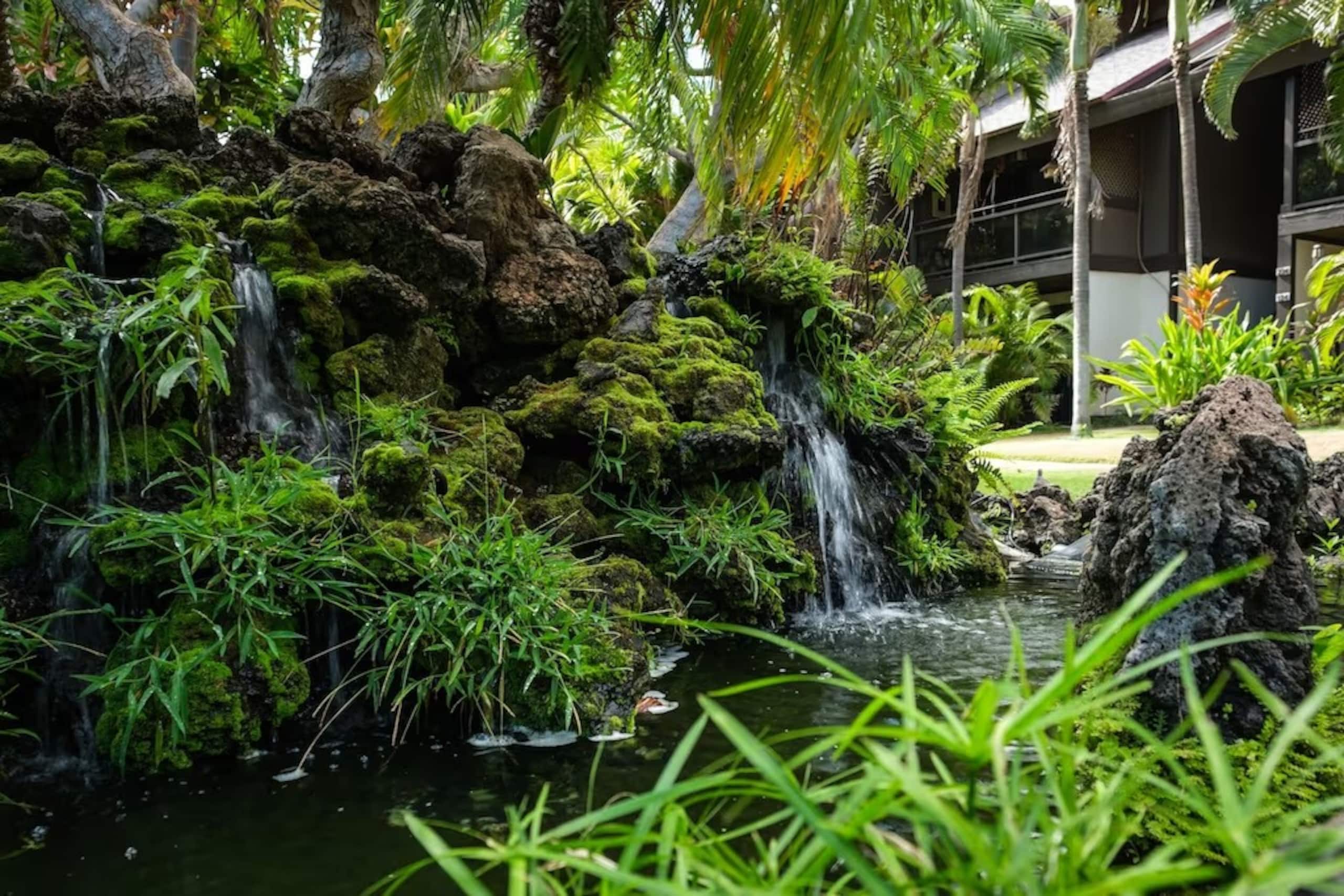 Popular Kihei 6 guests  2BR/2Baths 3 Beds/2Airbeds - Image 18