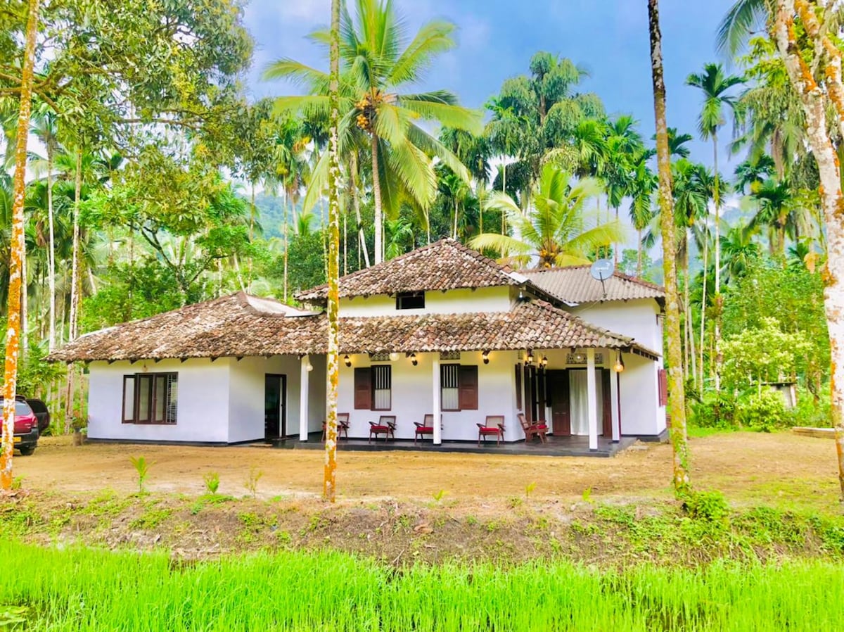 The villa features a traditional roof design surrounded by lush palm trees and greenery. A spacious outdoor area includes a porch with wooden chairs. The building's exterior showcases a blend of white walls with dark accents, set against a backdrop of thoughtfully maintained paddy fields.
