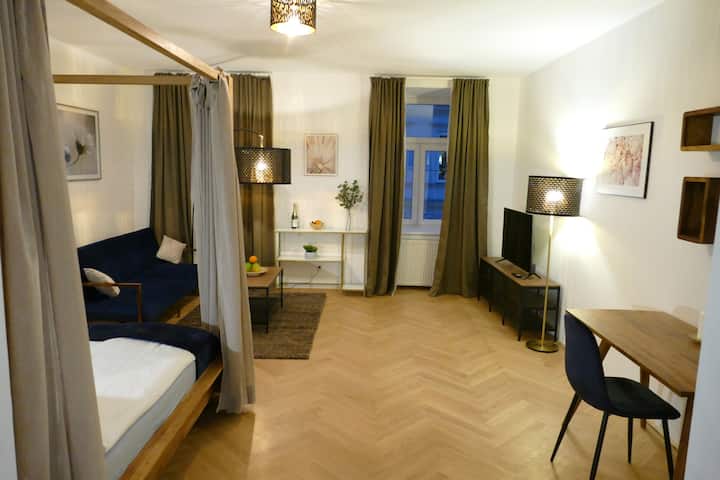 Gemütliches Stilapartment Im Herzen Wiens - Viena