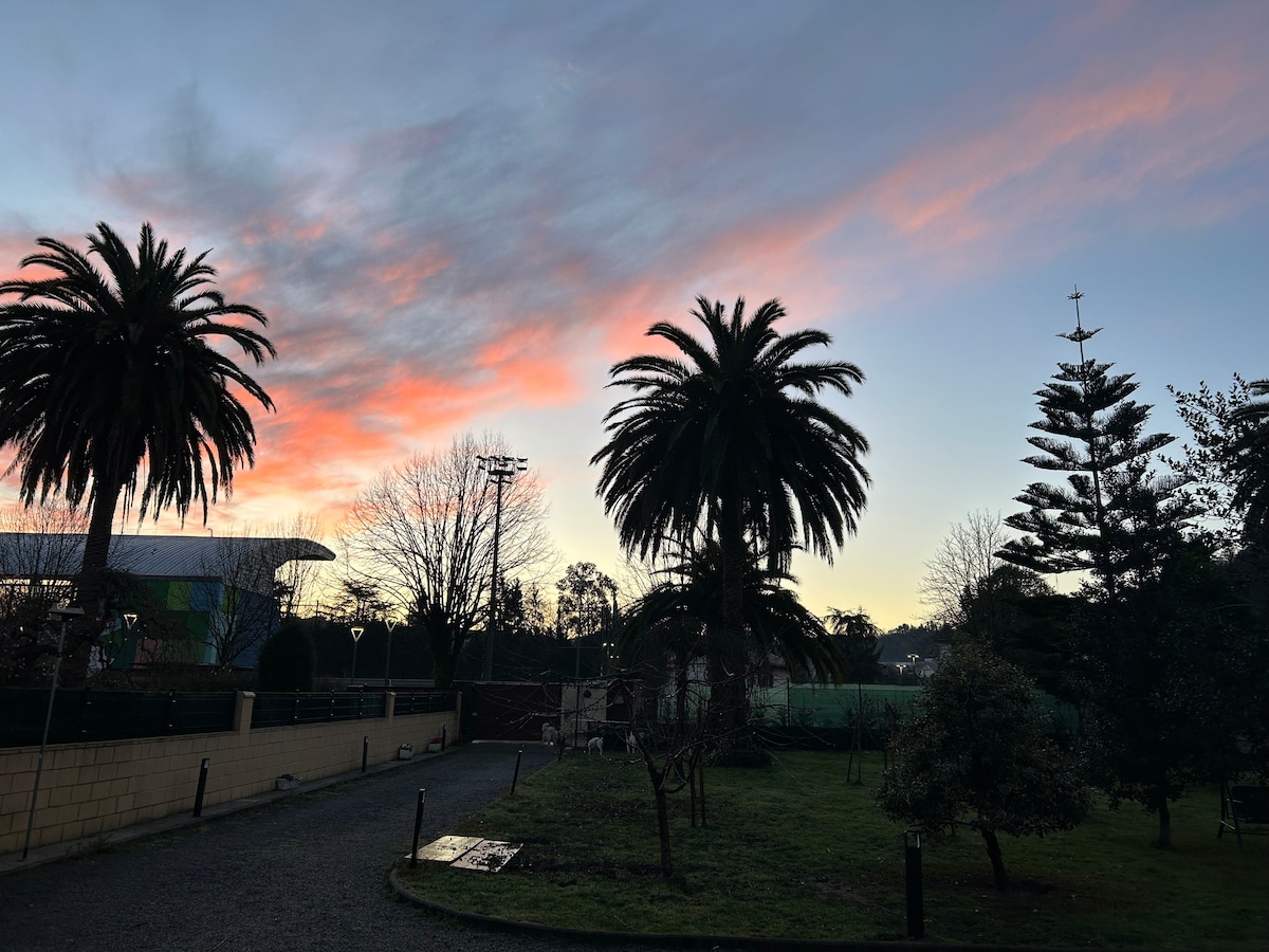 The image depicts a serene garden scene at twilight, featuring palm trees silhouetted against a colorful sky. Soft lighting from nearby lamps illuminates the pathways, while greenery is present in the foreground, contributing to a peaceful outdoor environment.
