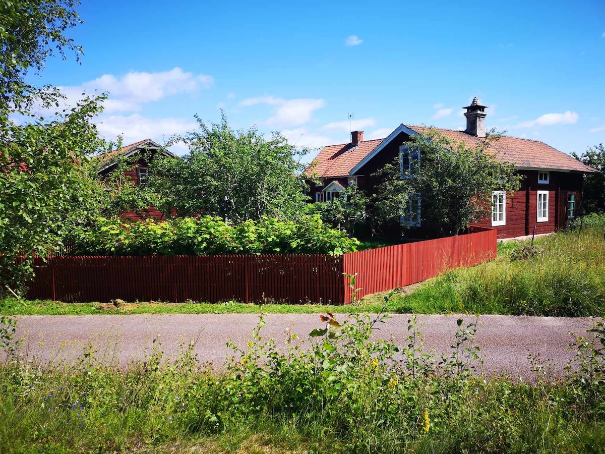A red wooden house is surrounded by greenery, set against a clear blue sky. A low wooden fence encloses the yard, which features trees and shrubs. The road in the foreground suggests easy access to the property, emphasizing a peaceful rural environment.