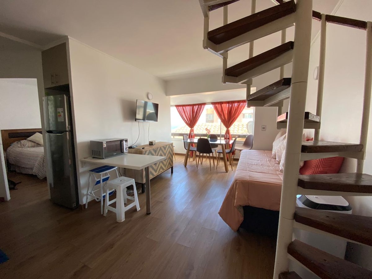 Apartment with a view of the sea Apartments for Rent in Viña del Mar