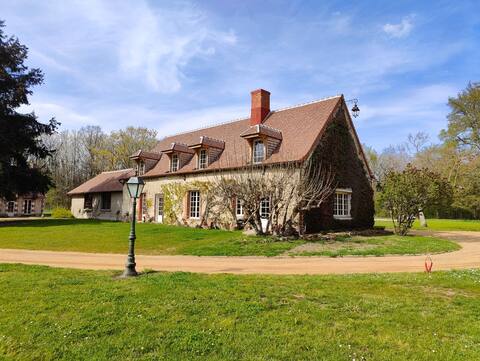 Incredible cottage in the middle of the forest