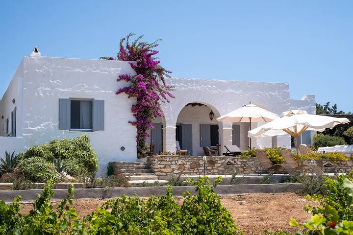 Seaside Dream Villa, Waterfront Villa in Paros gallery image 4