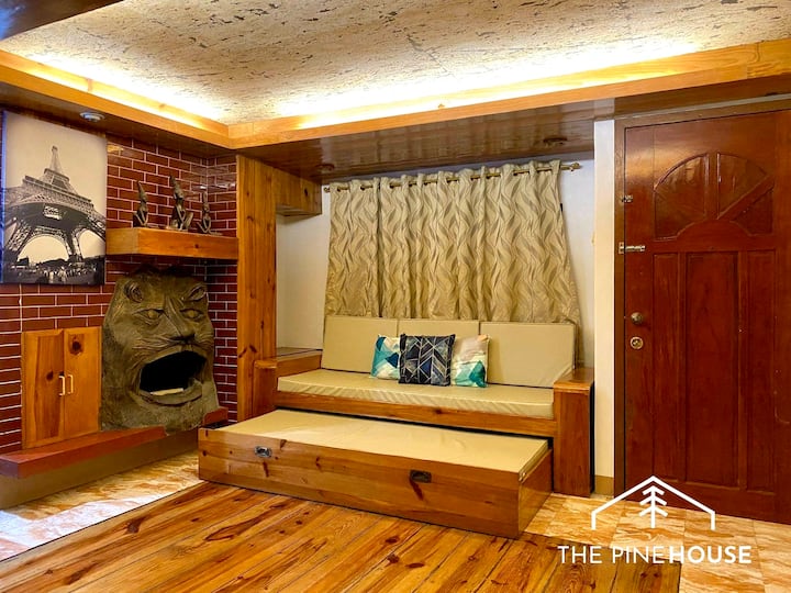 Living Room with pullout bed