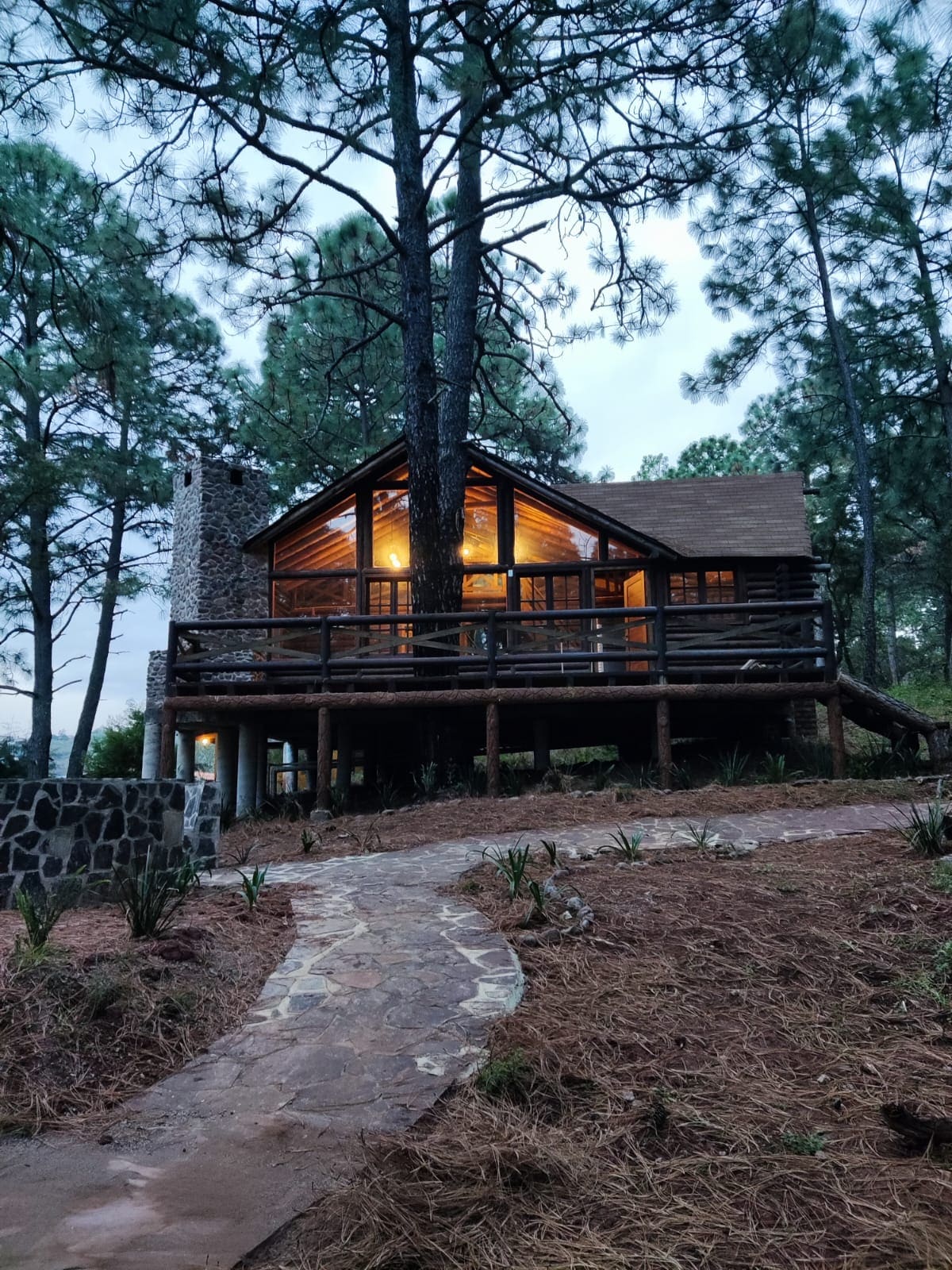 A charming cabin is nestled among tall pine trees, featuring a rustic stone chimney and wooden deck. Warm light glows from the spacious interior, while a stone pathway leads to the entrance, surrounded by natural vegetation, creating a serene outdoor setting.