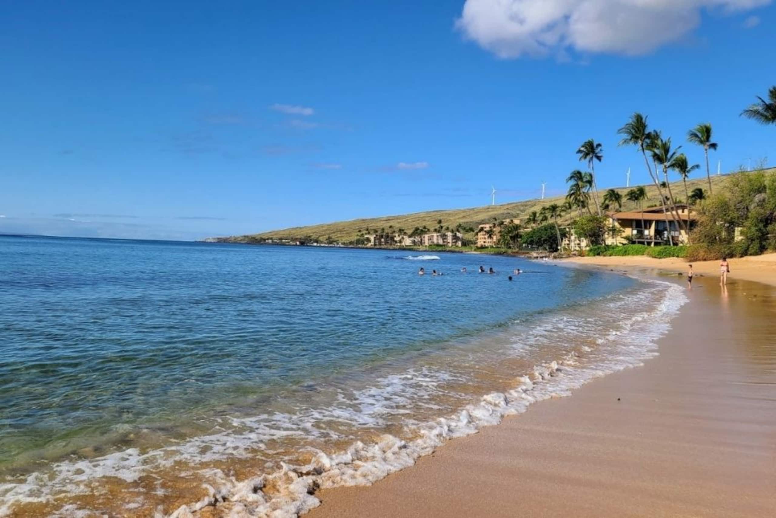 Condo in Wailuku · ★4.98 · 1 bedroom · 2 beds · 1 bath - Image 27