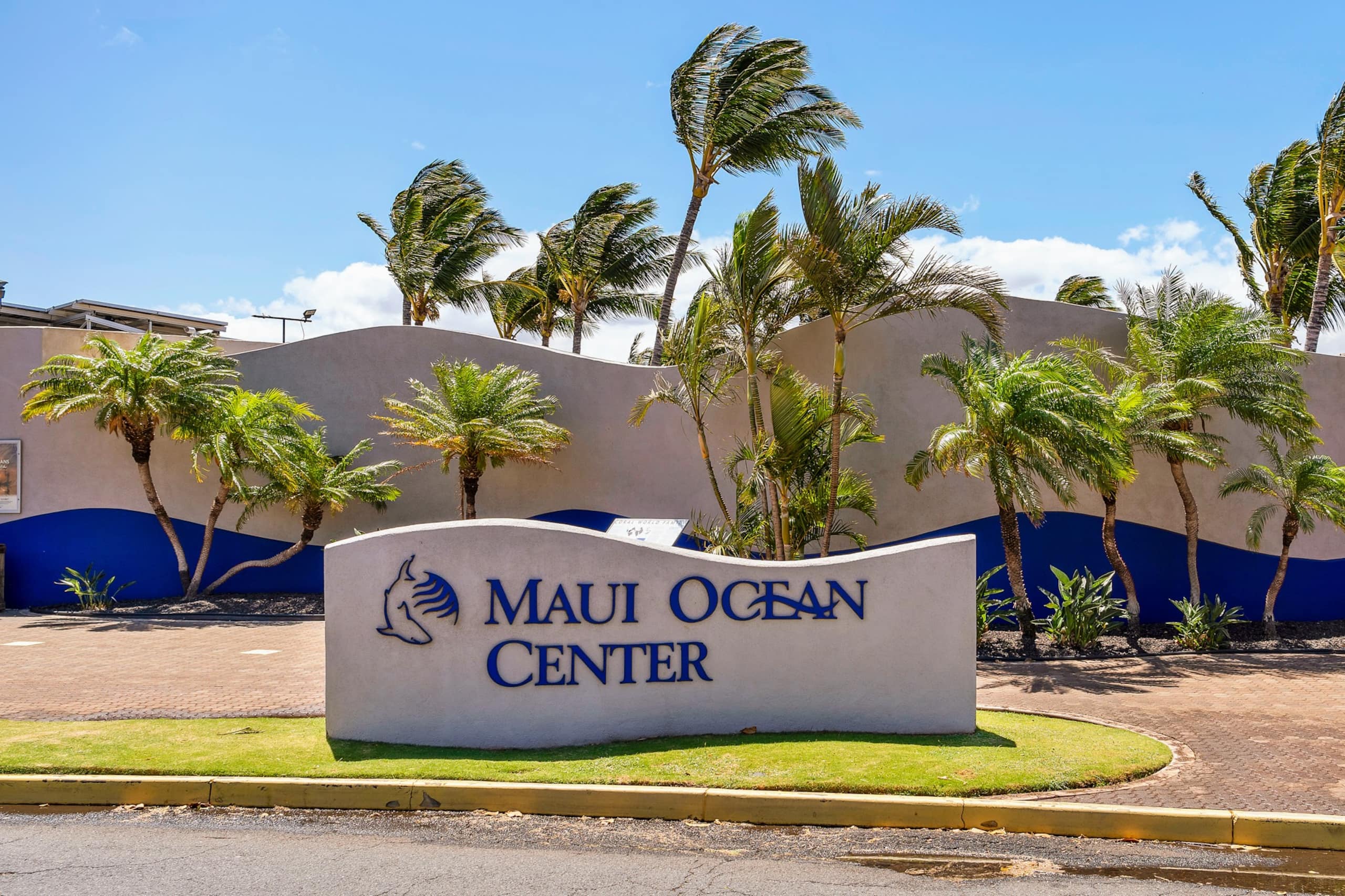 Condo in Wailuku · ★4.98 · 1 bedroom · 2 beds · 1 bath - Image 25